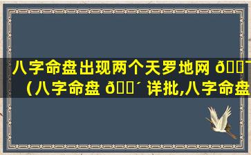 八字命盘出现两个天罗地网 🐯 （八字命盘 🌴 详批,八字命盘详解）